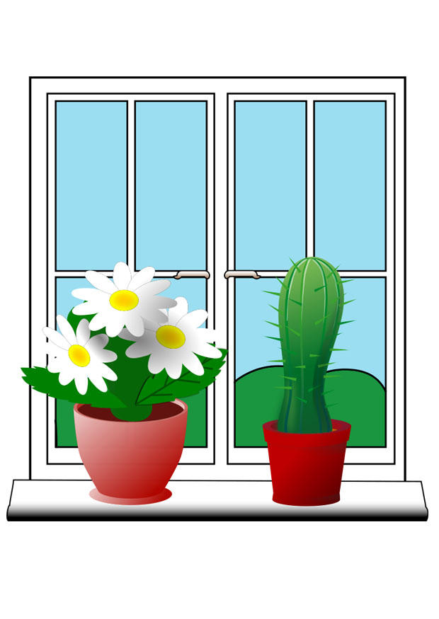 bilde planter