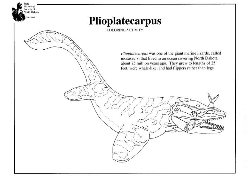 plioplatecarpus Fargeleggingsbilde plioplatecarpus
