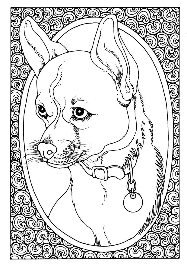Fargeleggingsbilde portrett av hund