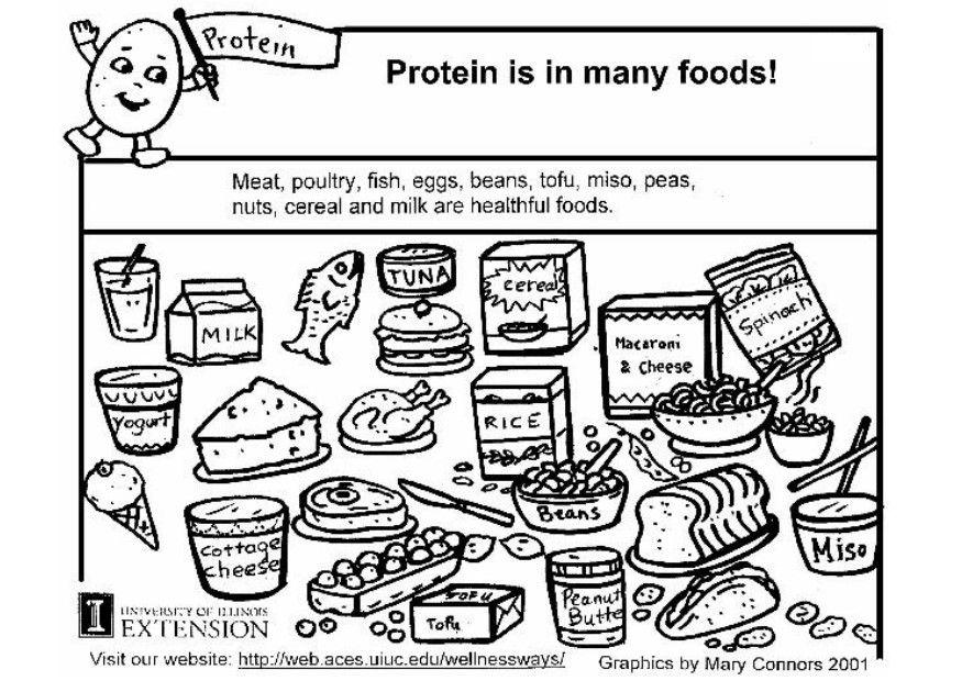 protein i maten Fargeleggingsbilde protein i maten