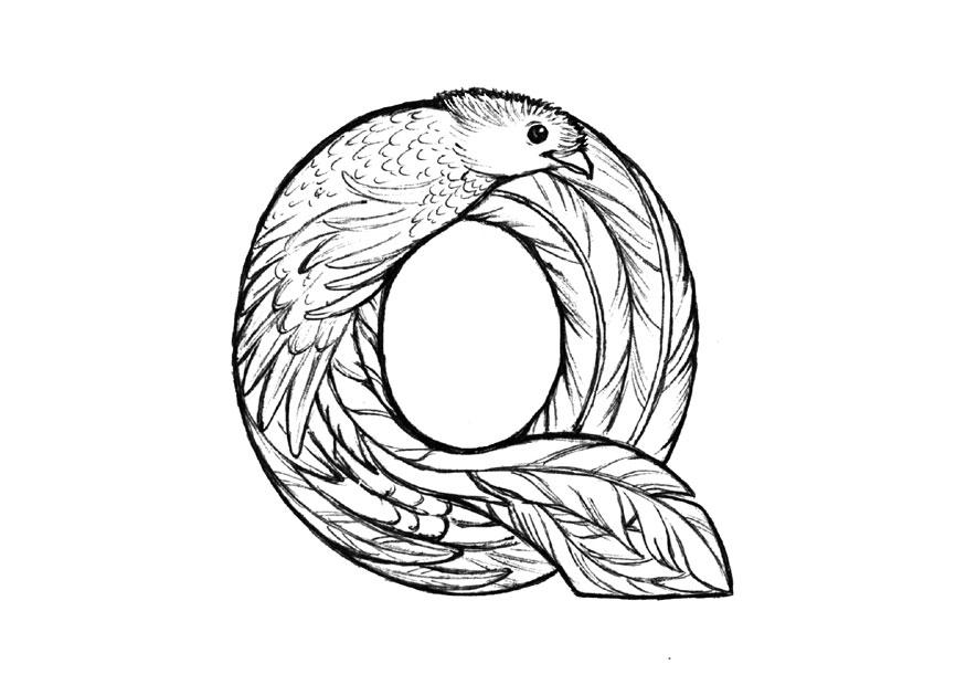 Fargeleggingsbilde q-quetzal