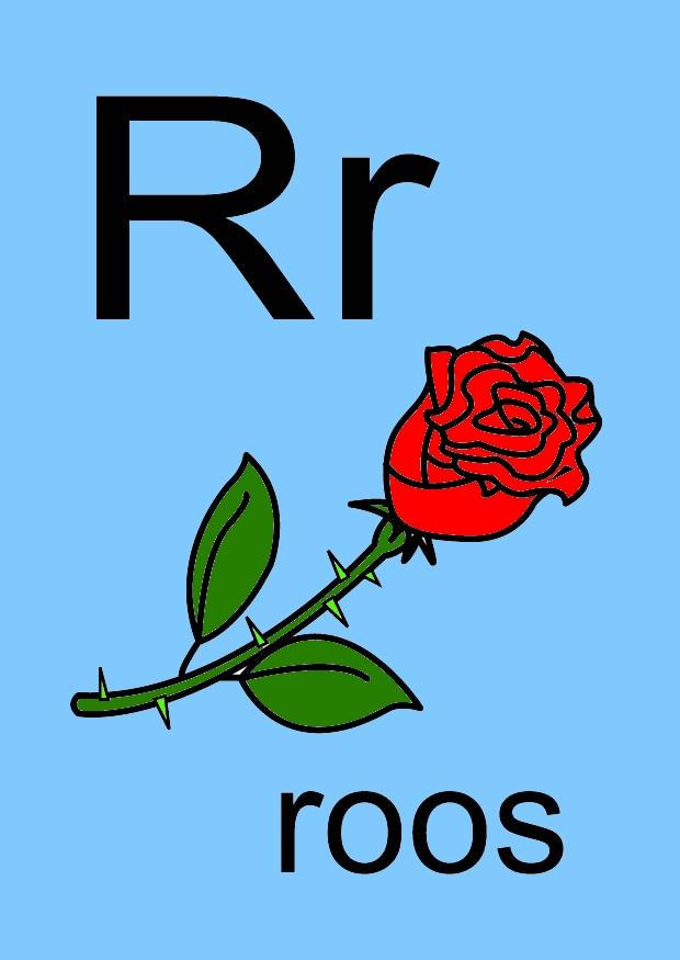 r bilde r