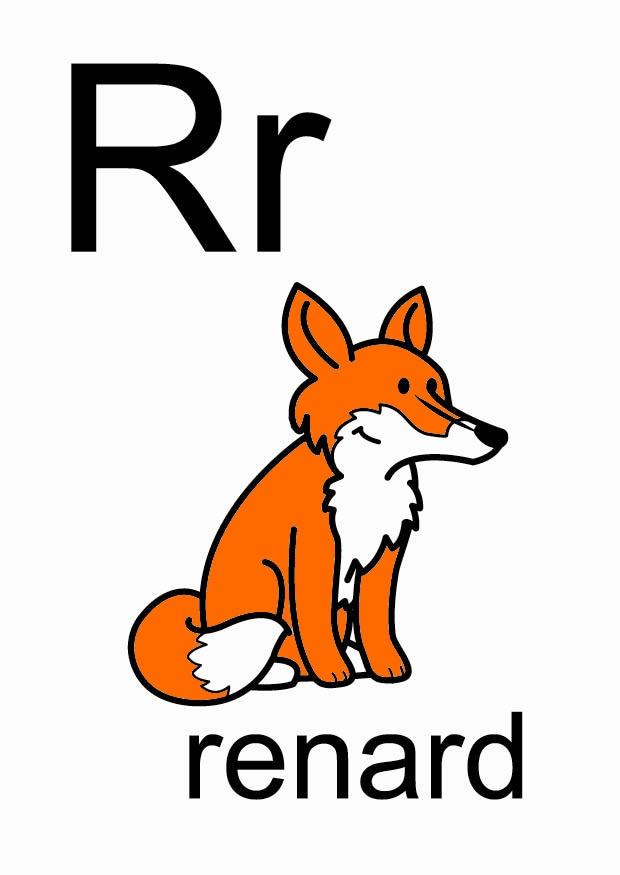 r bilde r