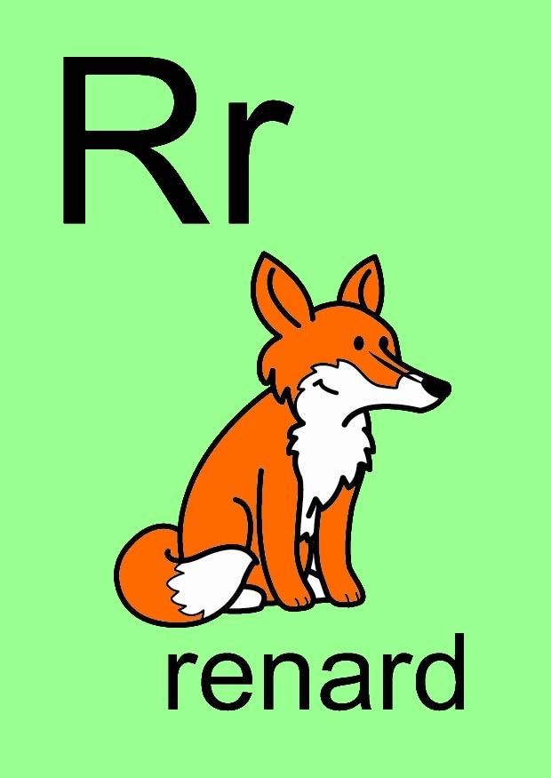r bilde r