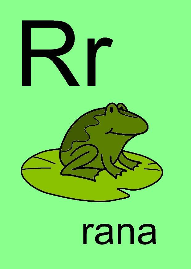 r bilde r
