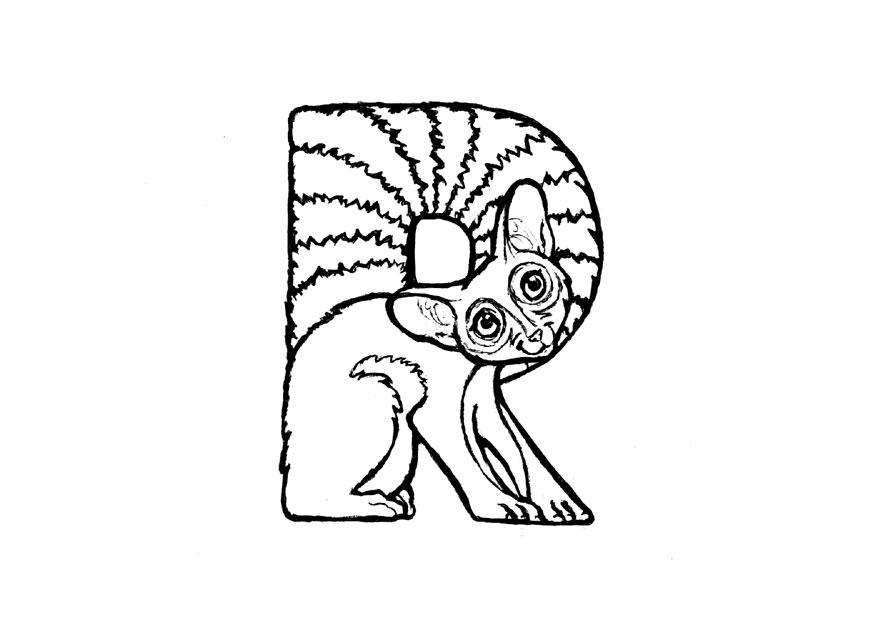 r-ringtail Fargeleggingsbilde r-ringtail