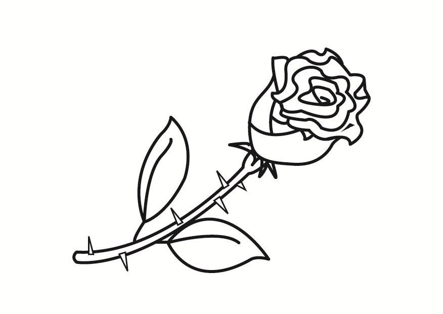 rose Fargeleggingsbilde rose