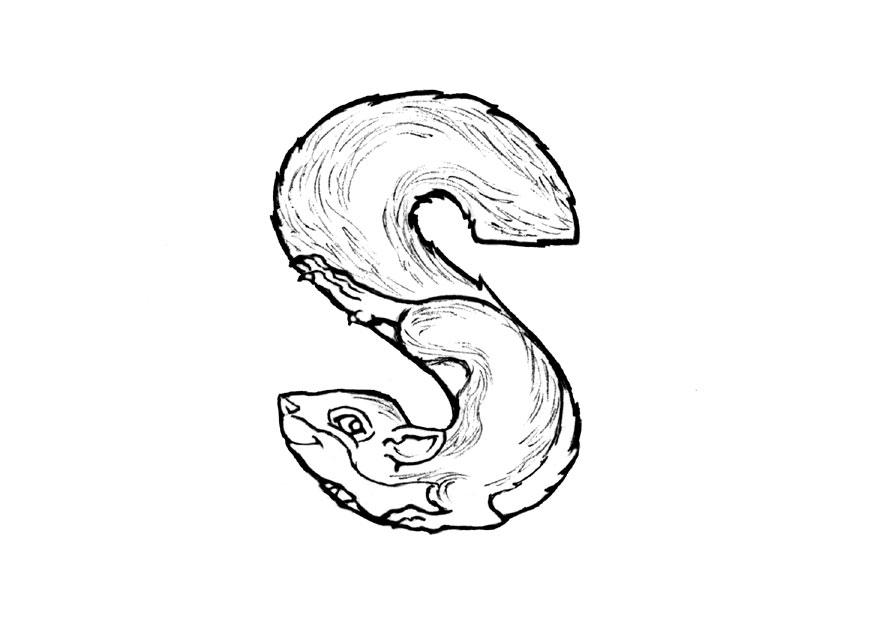 s-squirrel Fargeleggingsbilde s-squirrel