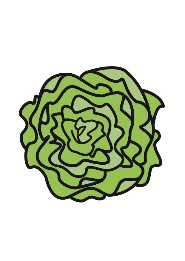 salat bilde salat