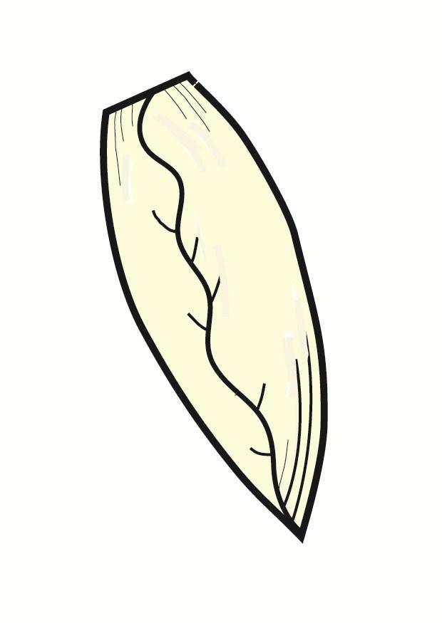 bilde salatblad