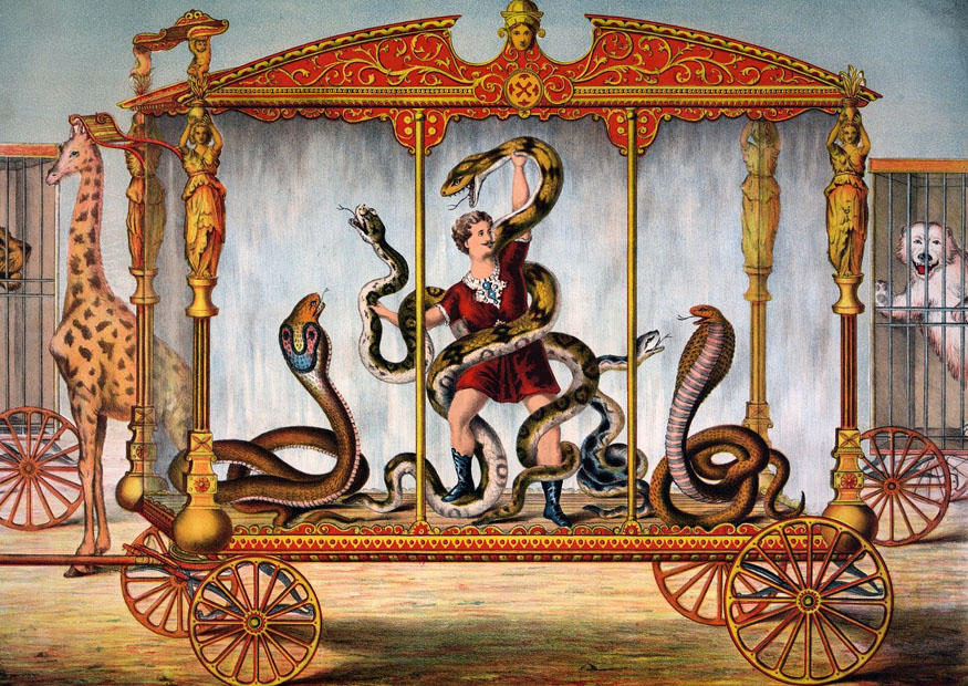 sirkus bilde sirkus