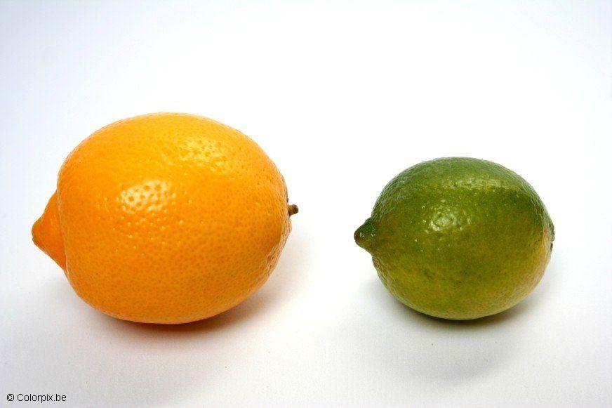 Foto sitron og lime