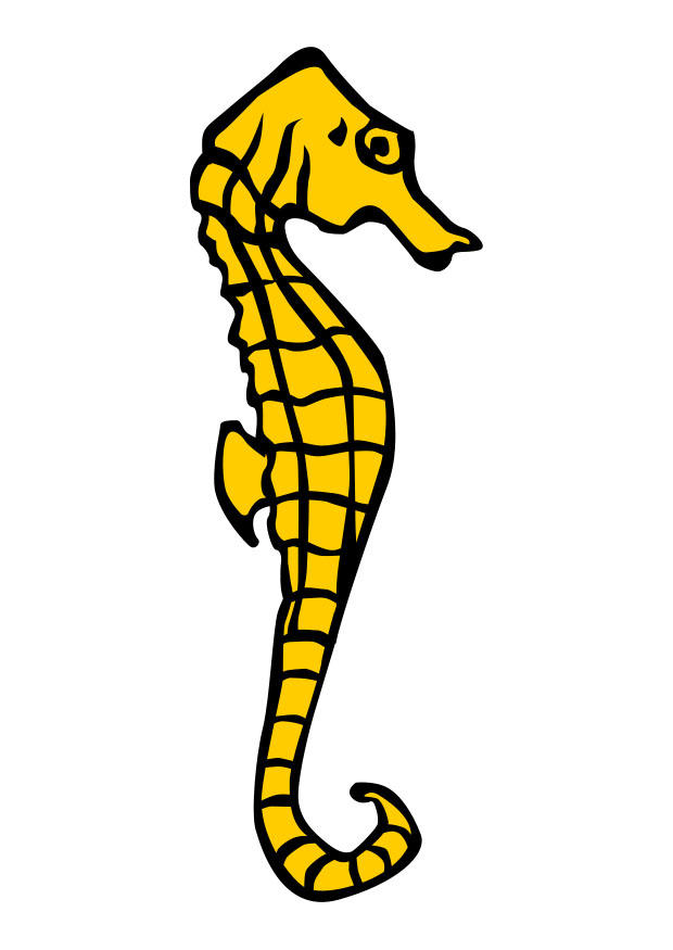 sjA¸hest bilde sjA¸hest