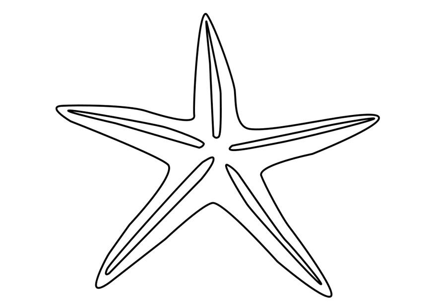 sjA¸stjerne Fargeleggingsbilde sjA¸stjerne