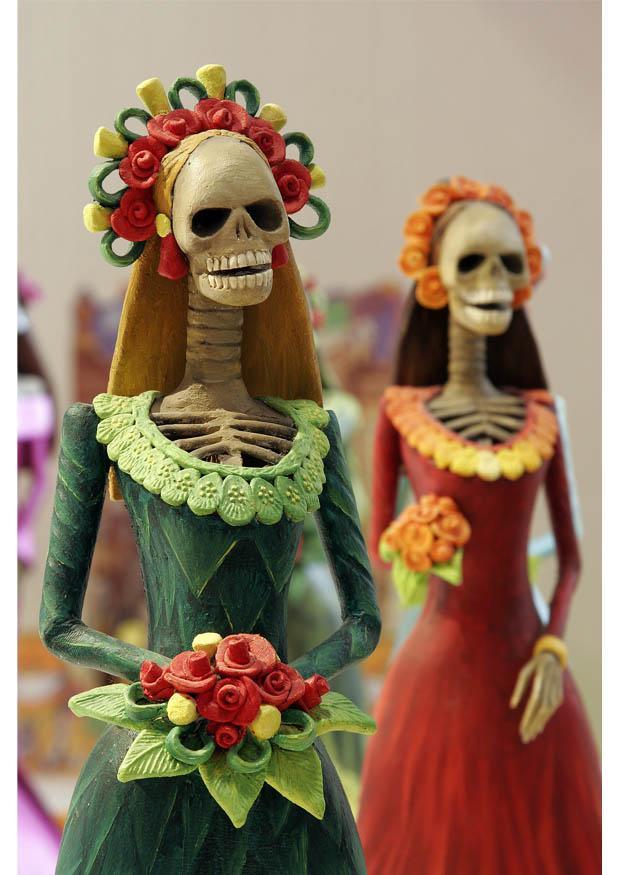 skjelett Foto skjelett