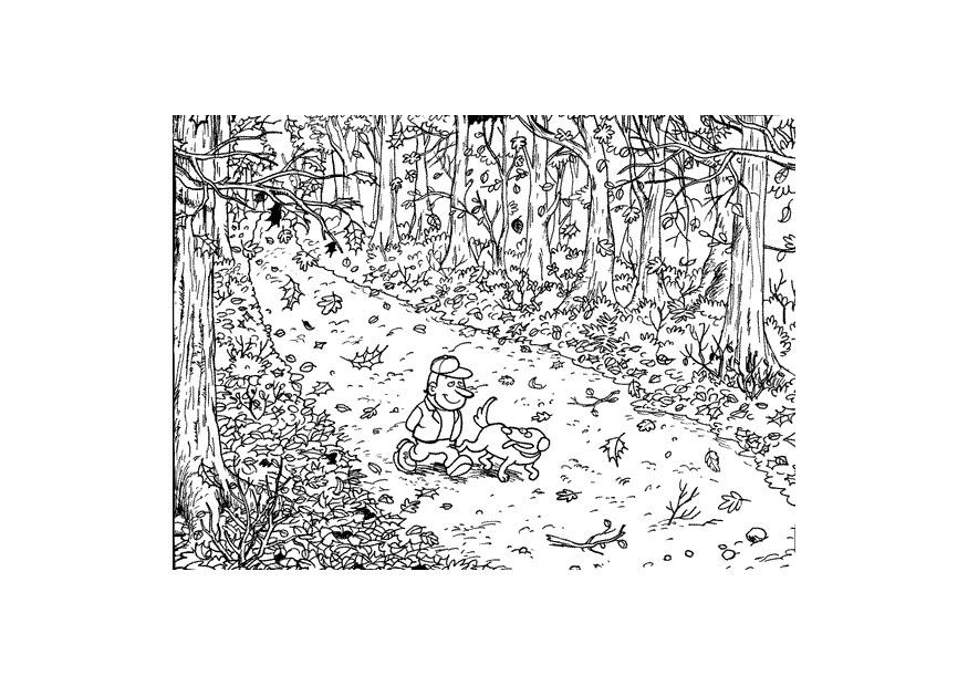 skogsvei om hA¸sten Fargeleggingsbilde skogsvei om hA¸sten