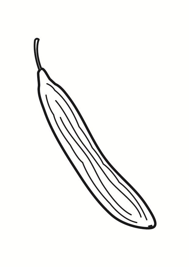 slangeagurk Fargeleggingsbilde slangeagurk