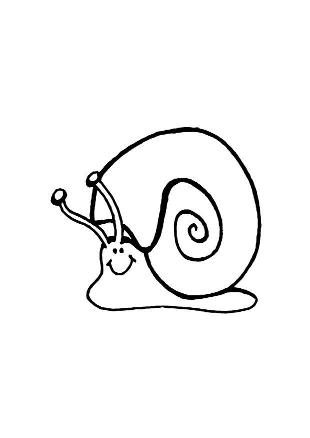 snegle Fargeleggingsbilde snegle
