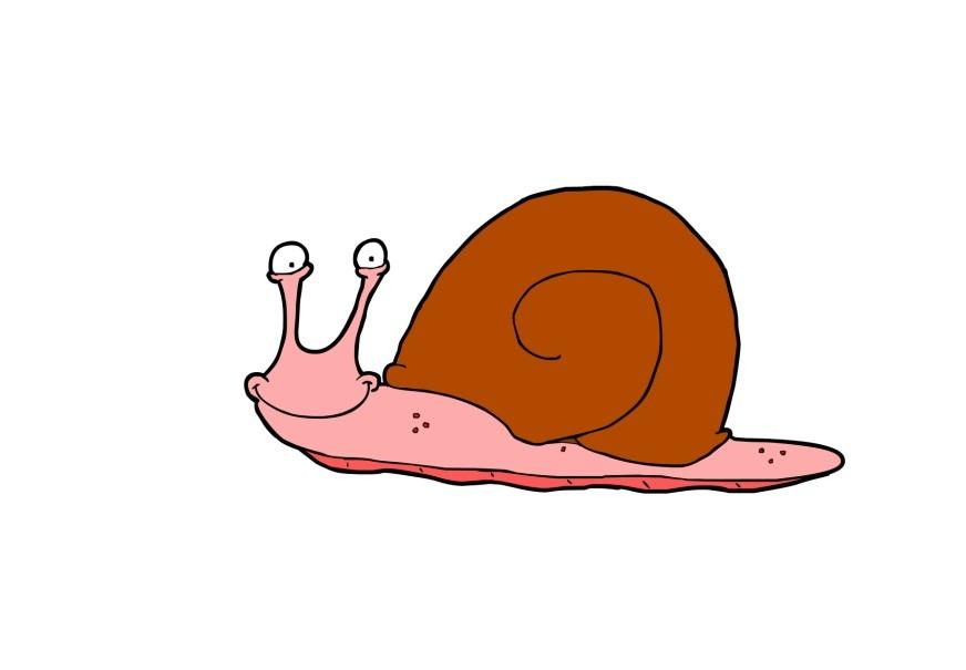 snegle bilde snegle