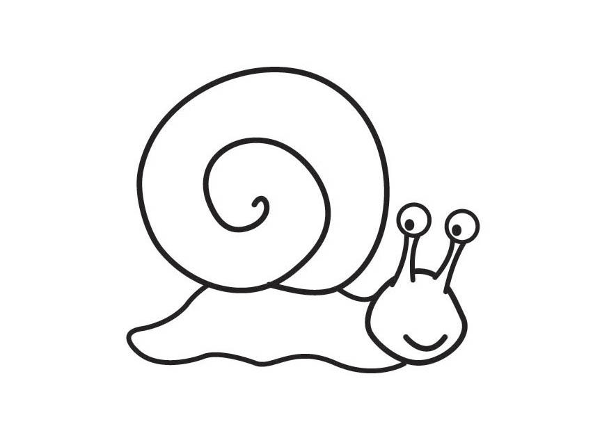 Fargeleggingsbilde snegle