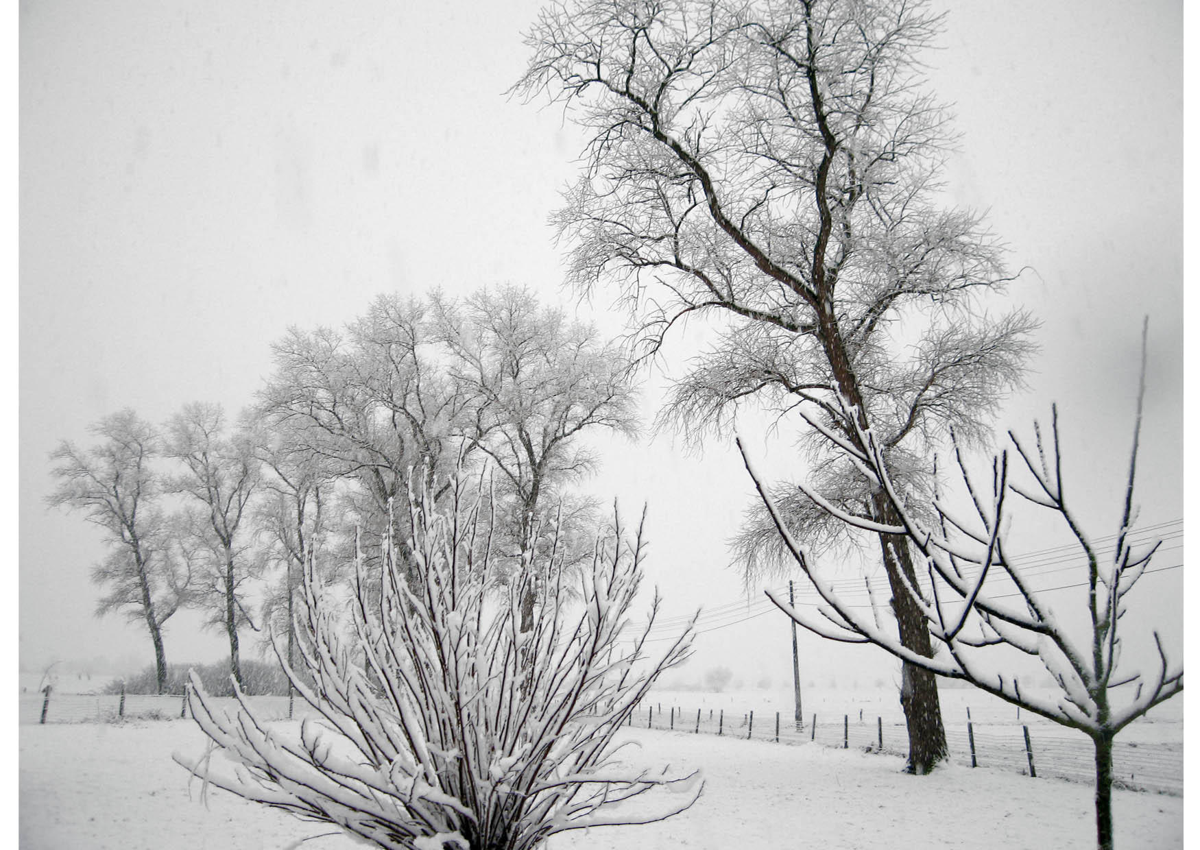 snA¸-vinterlandskap Foto snA¸-vinterlandskap