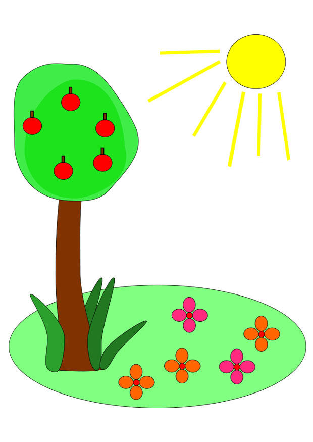 bilde sommer