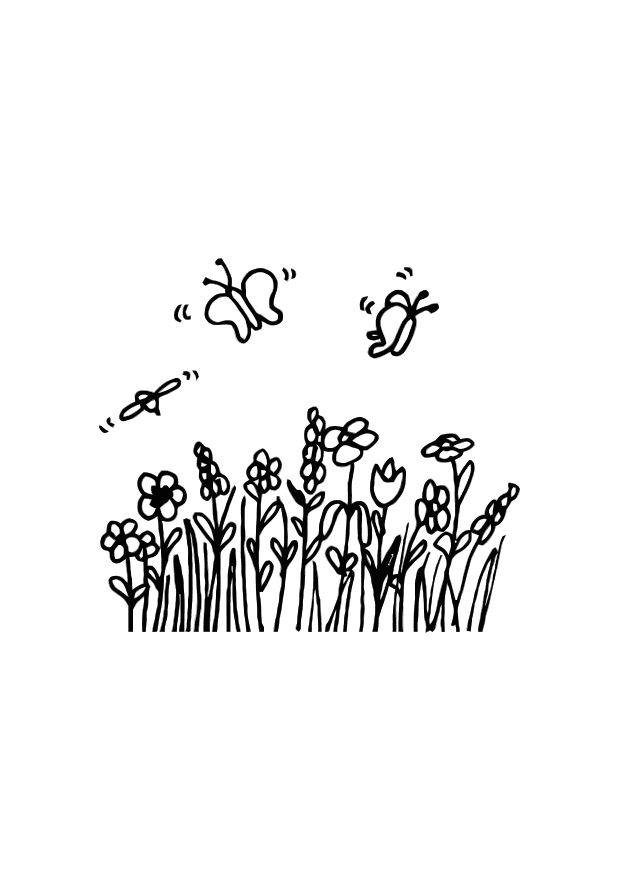 sommerfugl Fargeleggingsbilde sommerfugl