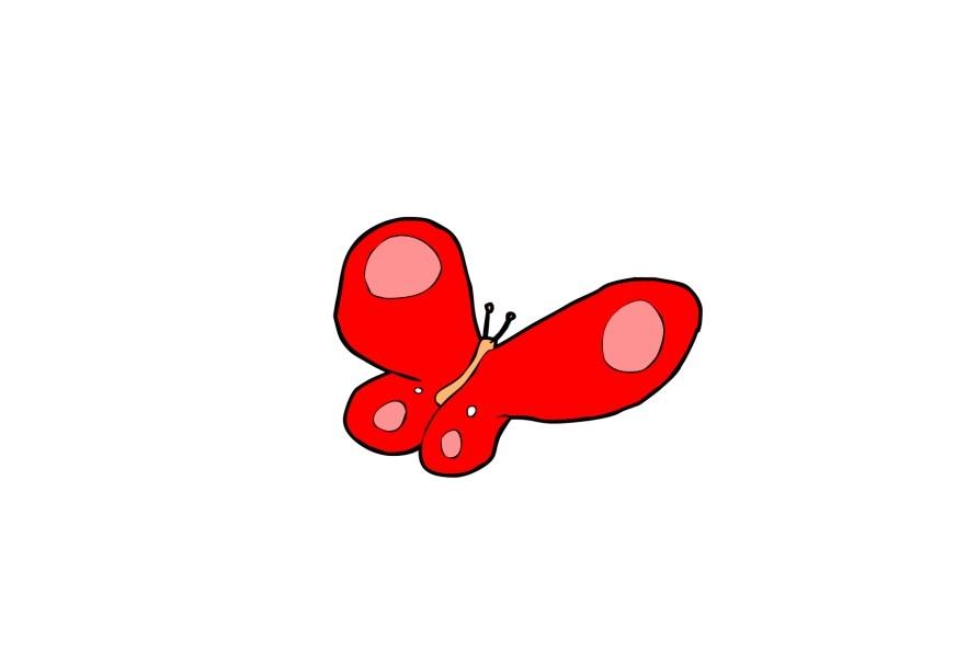 sommerfugl bilde sommerfugl