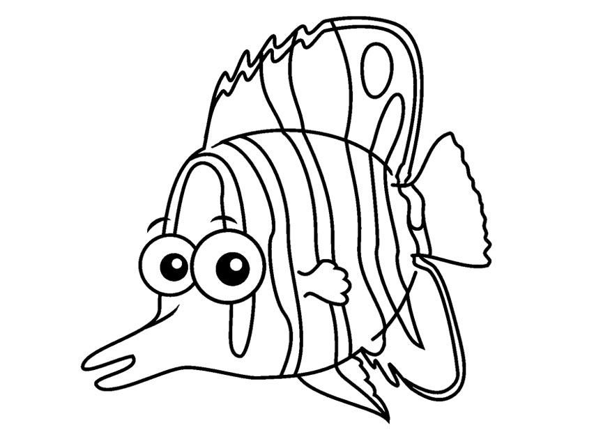 Fargeleggingsbilde sommerfuglfisk