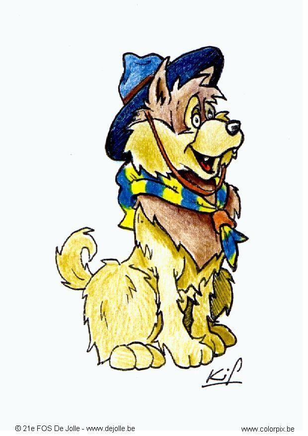 bilde speiderhund 1