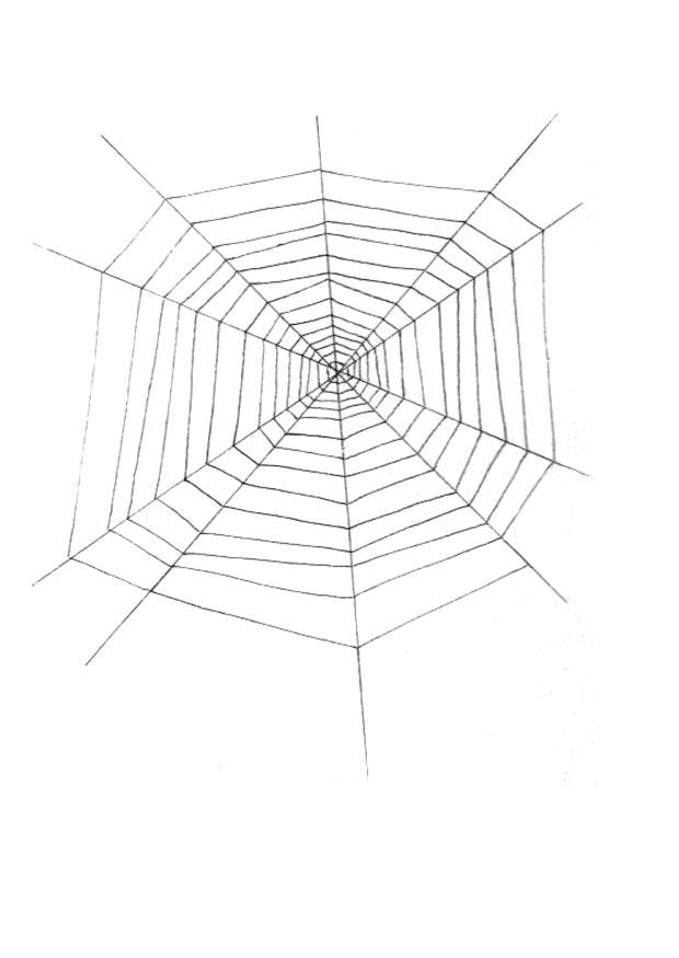 Fargeleggingsbilde spindelvev