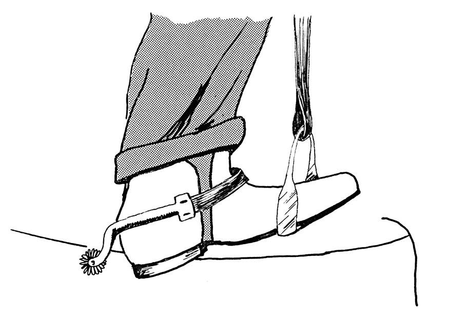 sporer Fargeleggingsbilde sporer