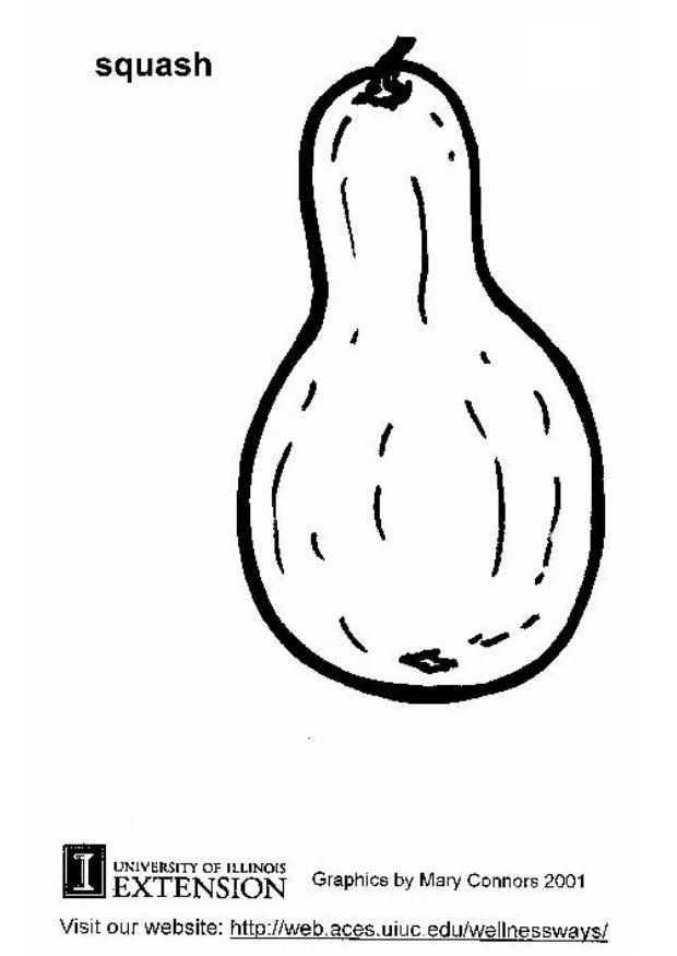 squash Fargeleggingsbilde squash