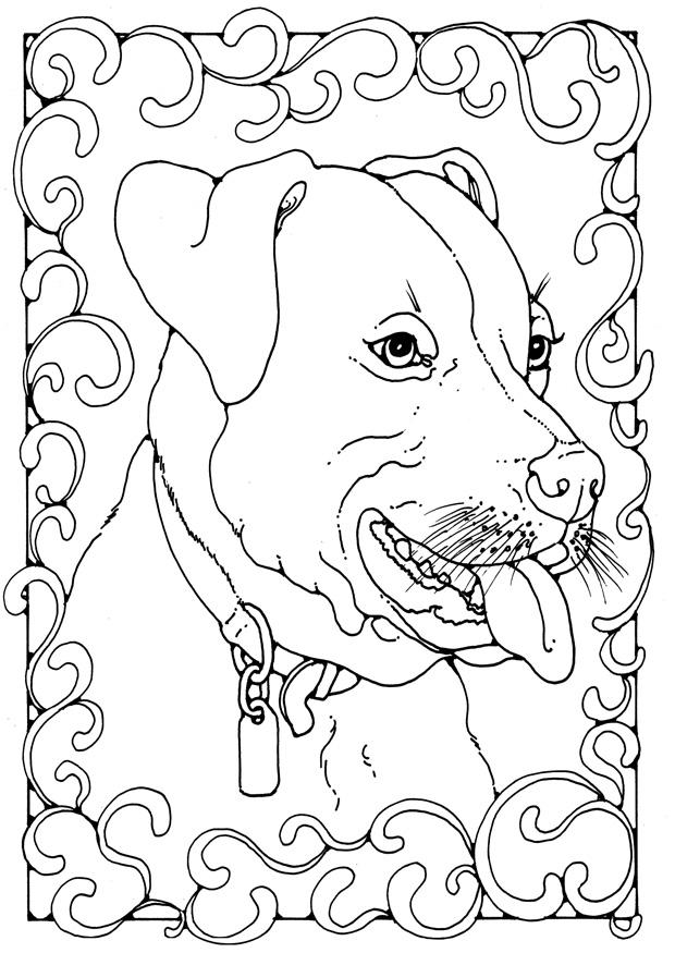 staffordshire bull terrier Fargeleggingsbilde staffordshire bull terrier