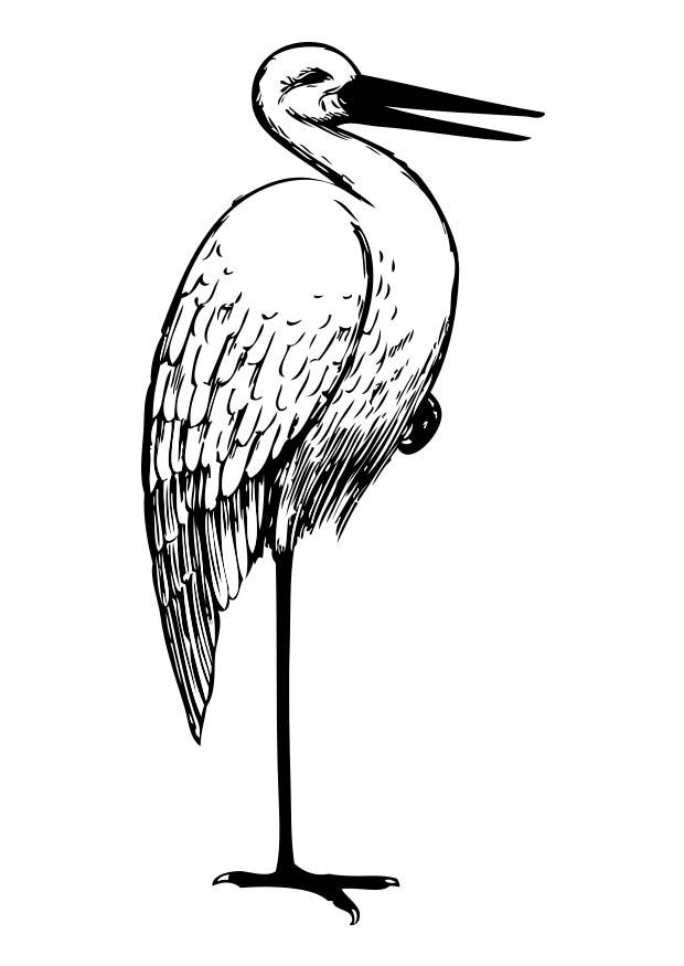 Fargeleggingsbilde stork