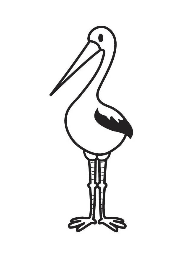 Fargeleggingsbilde stork