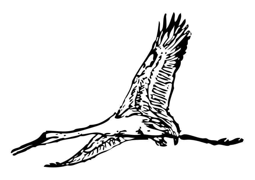Fargeleggingsbilde stork