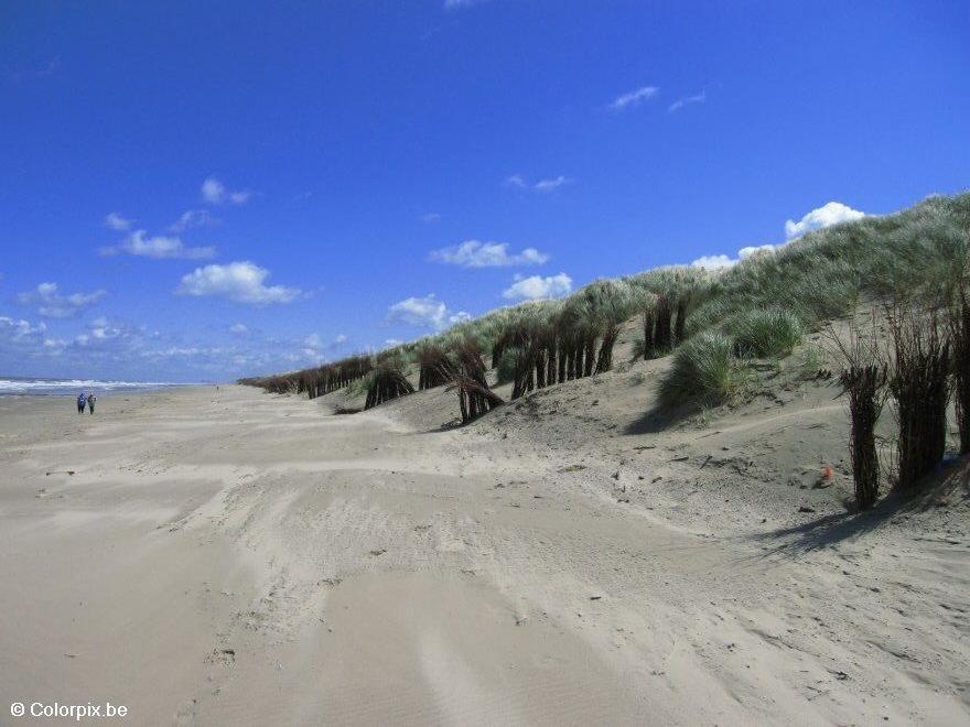 Foto strand og sanddyner