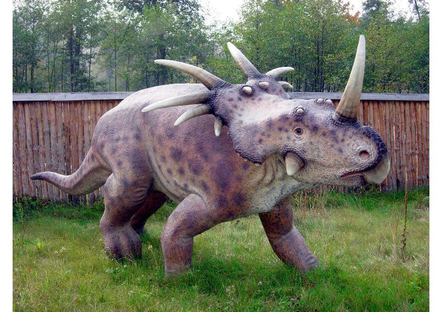 Foto styracosaurus replikk
