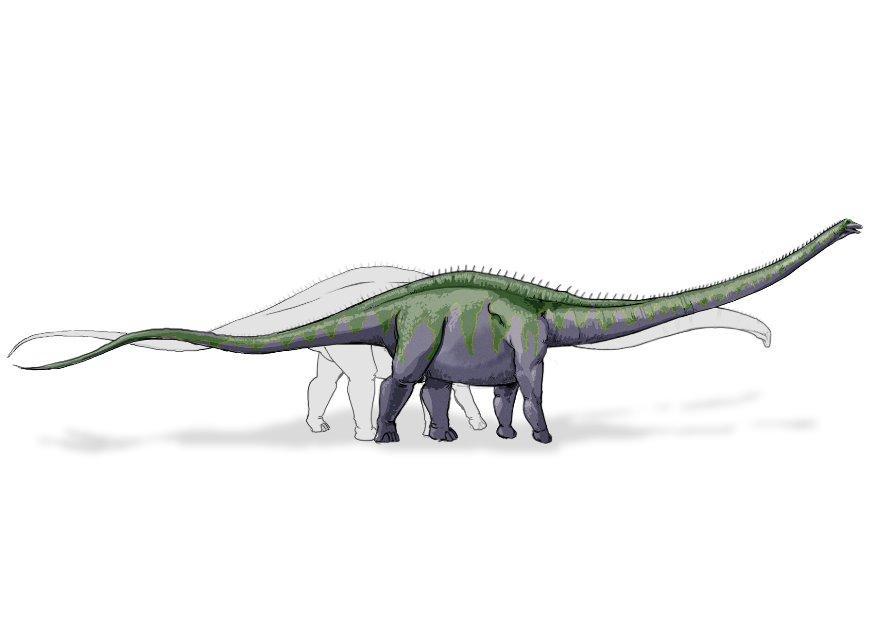 supersaurus dinosaur bilde supersaurus dinosaur