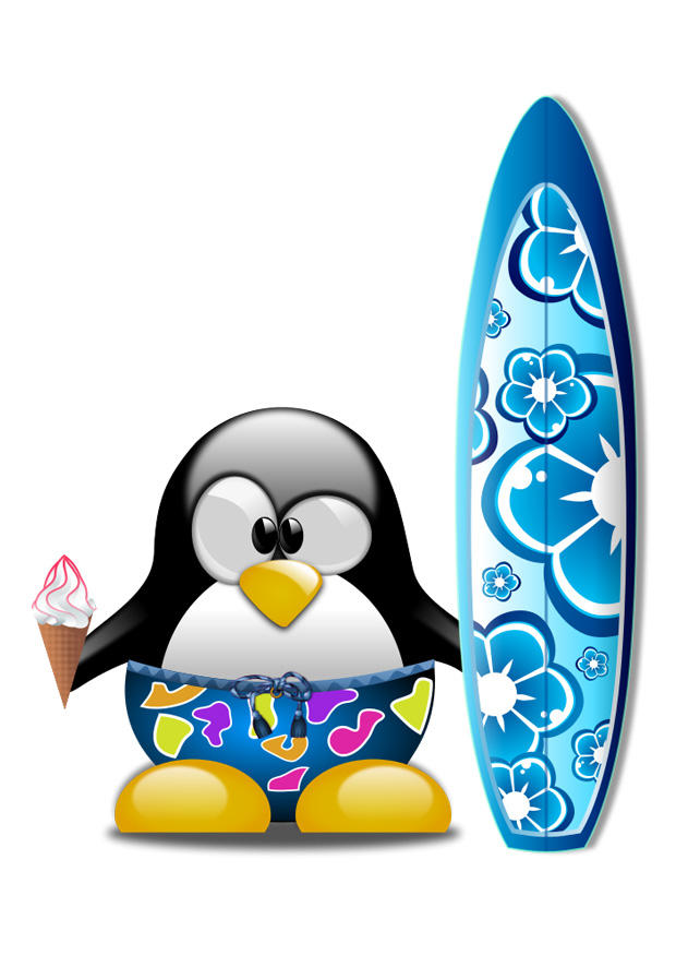 surfing bilde surfing