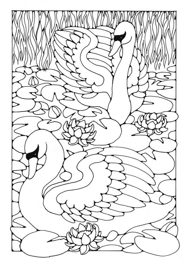 svane Fargeleggingsbilde svane