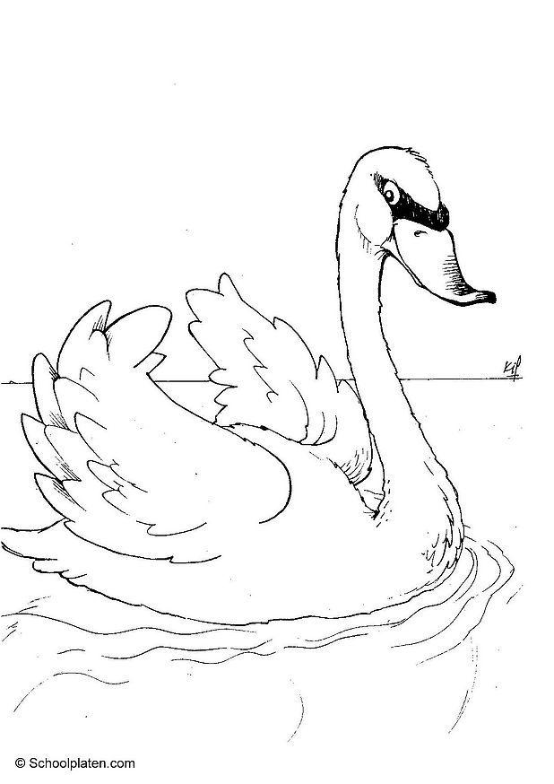Fargeleggingsbilde svane