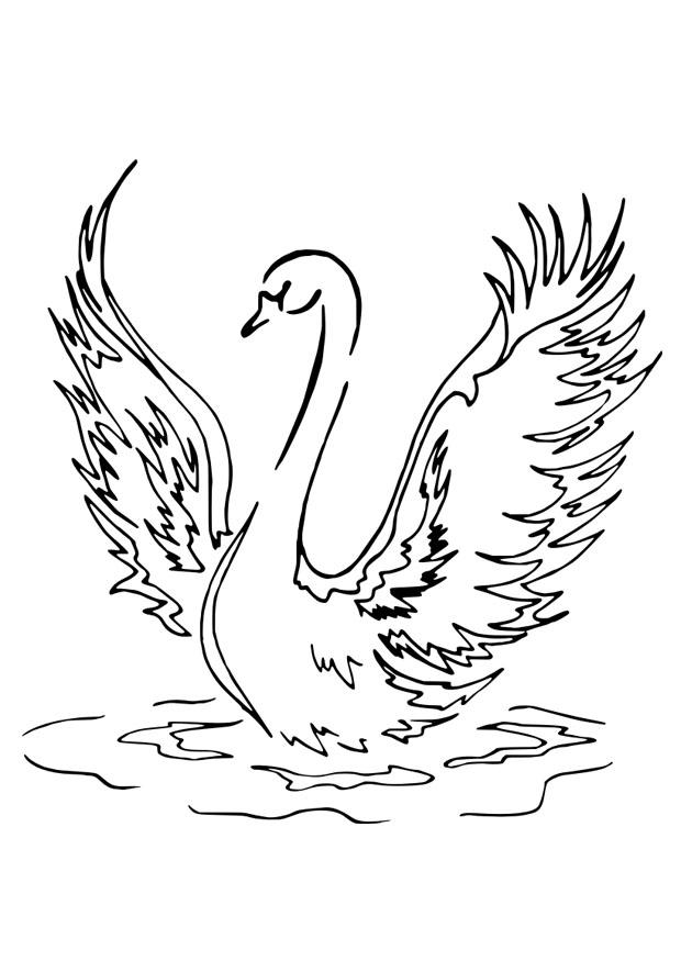 svane Fargeleggingsbilde svane