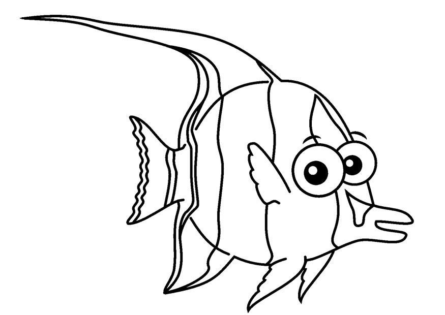 sverdfisk Fargeleggingsbilde sverdfisk