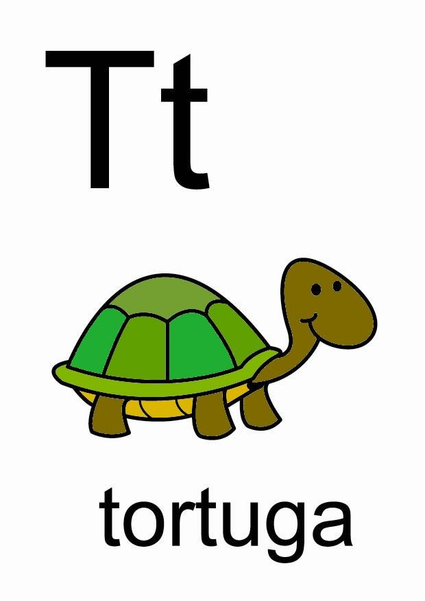 t bilde t