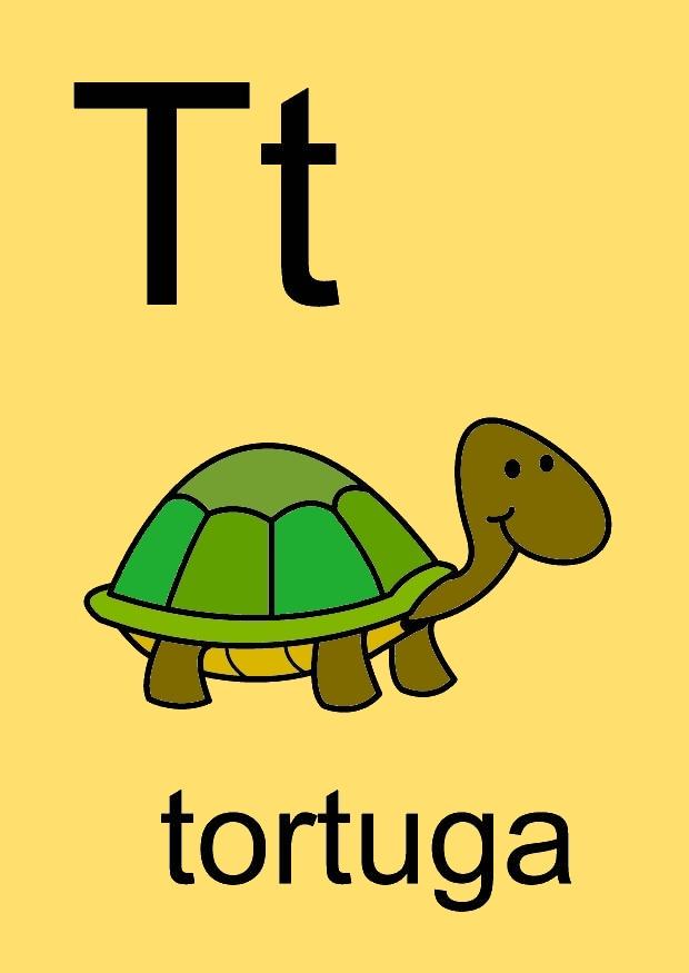 t bilde t