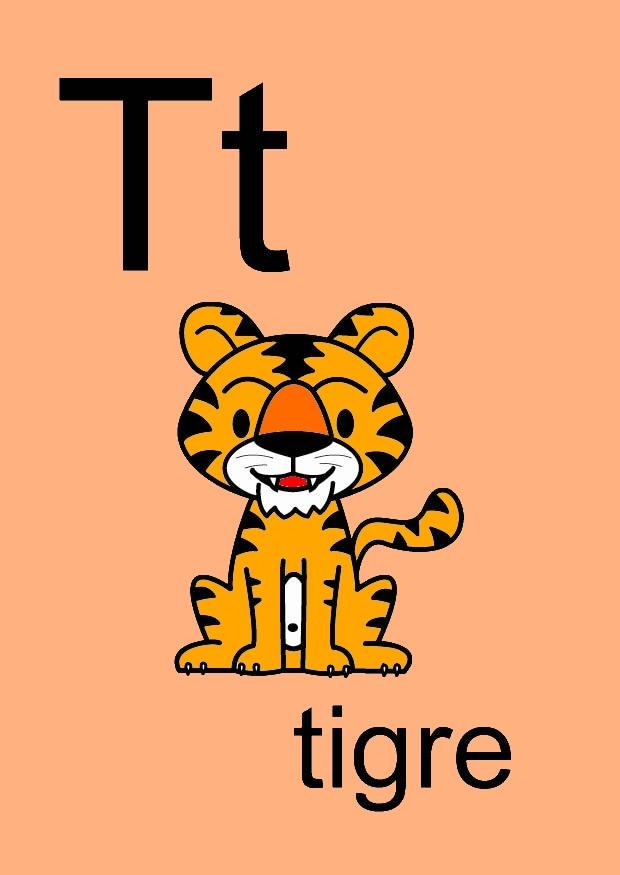 t bilde t