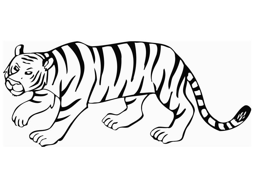 tiger Fargeleggingsbilde tiger