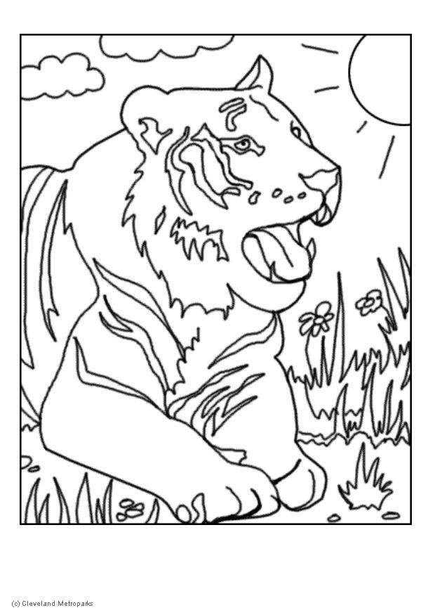 tiger Fargeleggingsbilde tiger